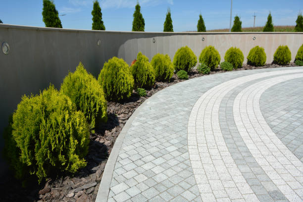 Best Professional Driveway Pavers  in Indian Hills, TX